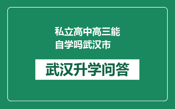 私立高中高三能自学吗武汉市