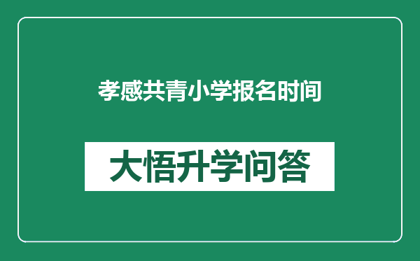 孝感共青小学报名时间