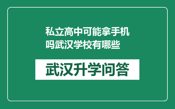 私立高中可能拿手机吗武汉学校有哪些