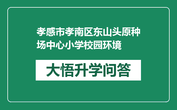 孝感市孝南区东山头原种场中心小学校园环境