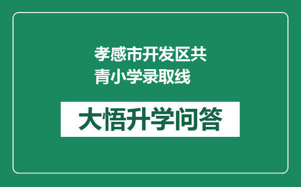 孝感市开发区共青小学录取线