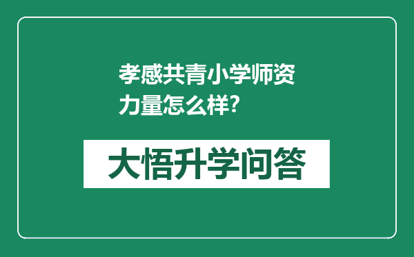 孝感共青小学师资力量怎么样？