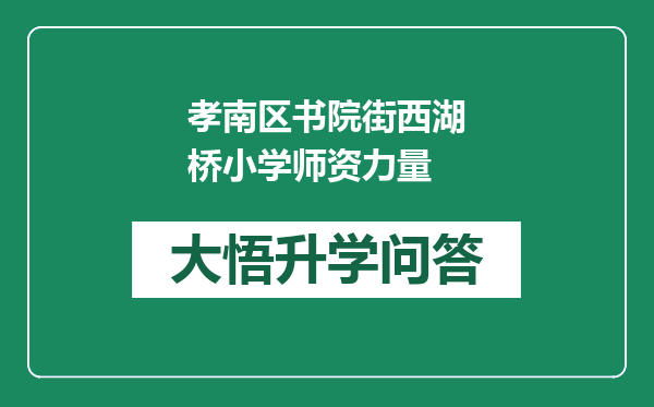 孝南区书院街西湖桥小学师资力量