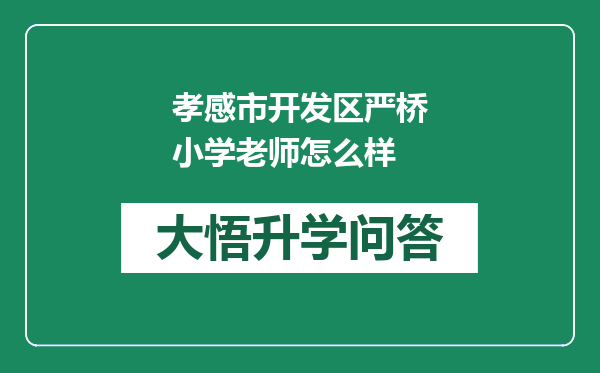 孝感市开发区严桥小学老师怎么样