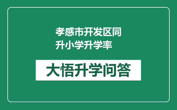 孝感市开发区同升小学升学率