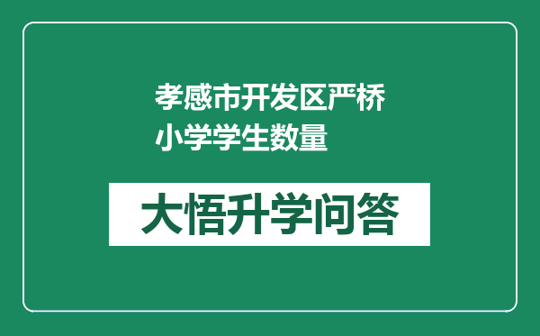 孝感市开发区严桥小学学生数量