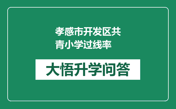 孝感市开发区共青小学过线率