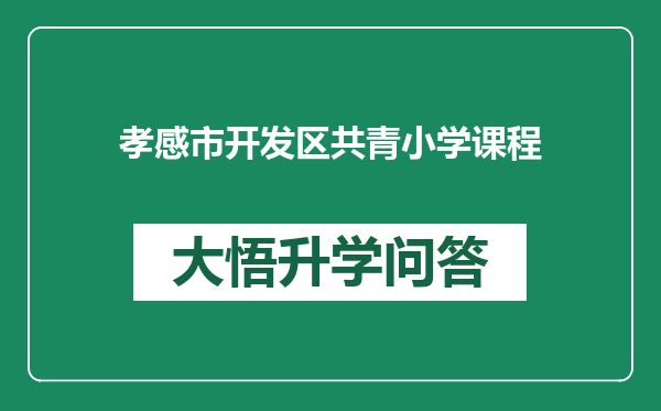 孝感市开发区共青小学课程