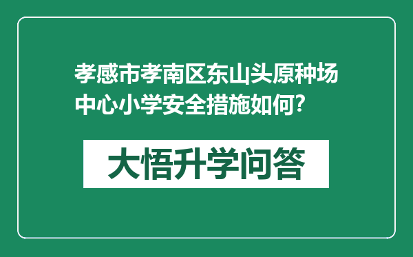 孝感市孝南区东山头原种场中心小学安全措施如何？