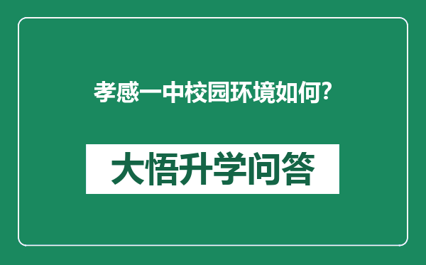 孝感一中校园环境如何？