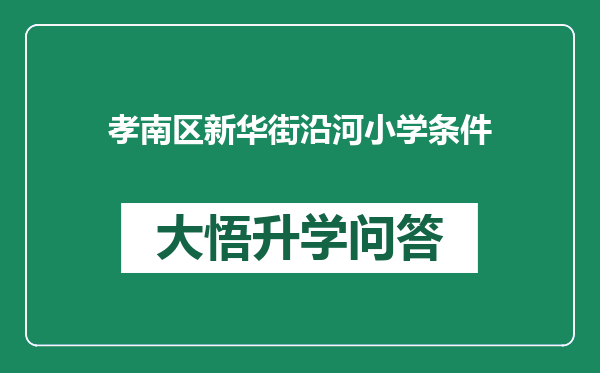 孝南区新华街沿河小学条件