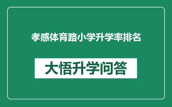 孝感体育路小学升学率排名