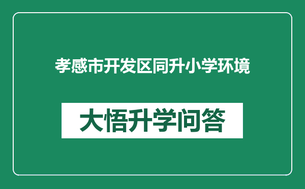 孝感市开发区同升小学环境