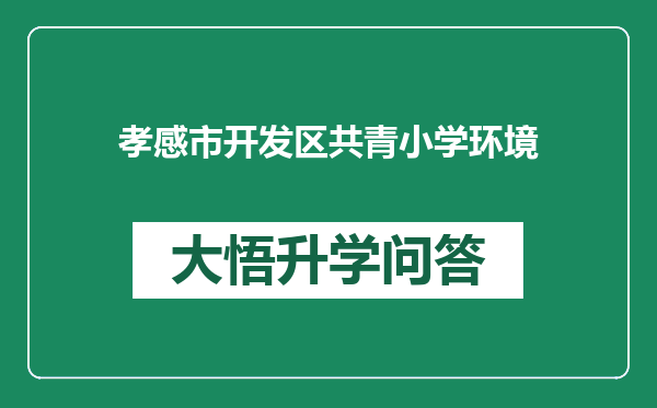 孝感市开发区共青小学环境