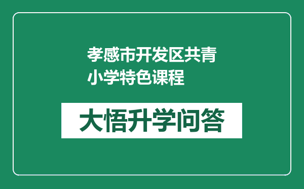 孝感市开发区共青小学特色课程