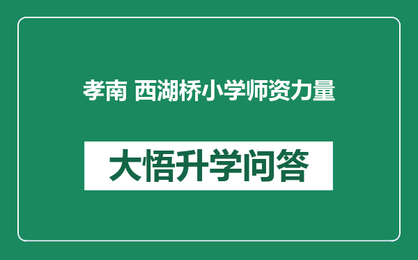 孝南 西湖桥小学师资力量