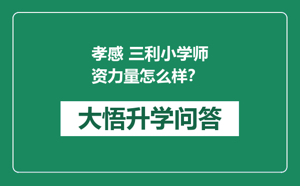 孝感 三利小学师资力量怎么样？