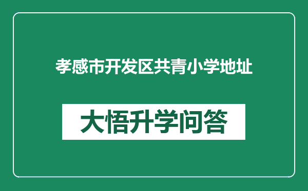 孝感市开发区共青小学地址