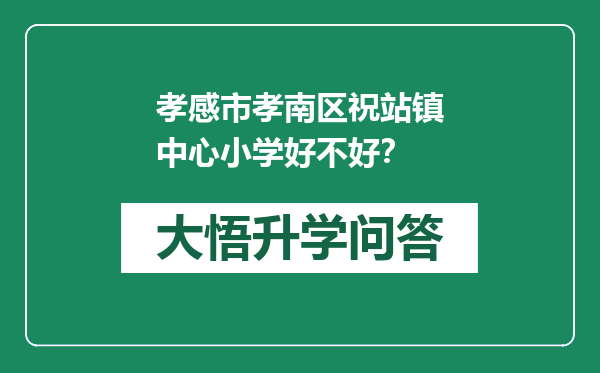 孝感市孝南区祝站镇中心小学好不好？