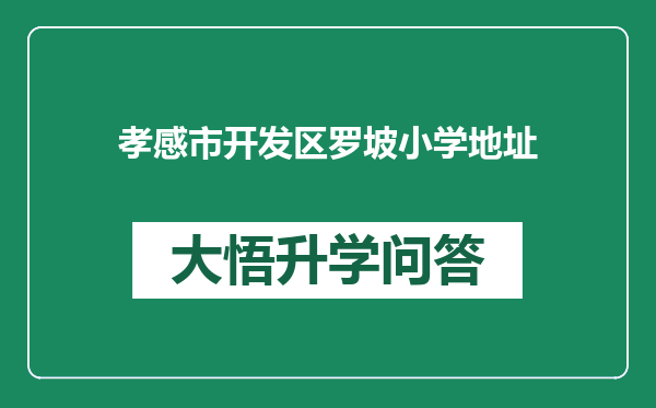 孝感市开发区罗坡小学地址