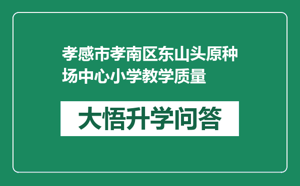 孝感市孝南区东山头原种场中心小学教学质量