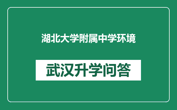 湖北大学附属中学环境