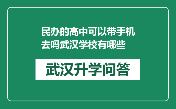 民办的高中可以带手机去吗武汉学校有哪些