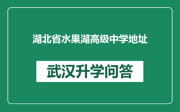 湖北省水果湖高级中学地址