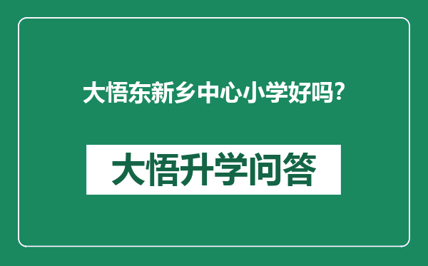 大悟东新乡中心小学好吗？