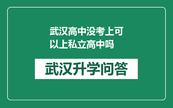 武汉高中没考上可以上私立高中吗