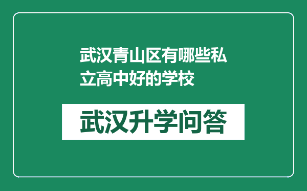 武汉青山区有哪些私立高中好的学校