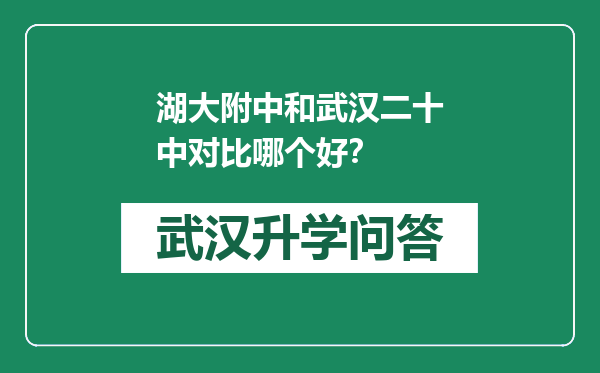 湖大附中和武汉二十中对比哪个好？