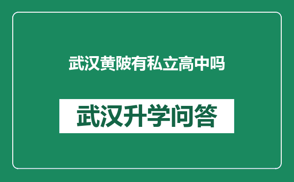 武汉黄陂有私立高中吗