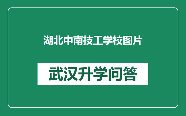 湖北中南技工学校图片