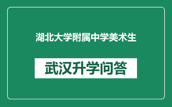 湖北大学附属中学美术生