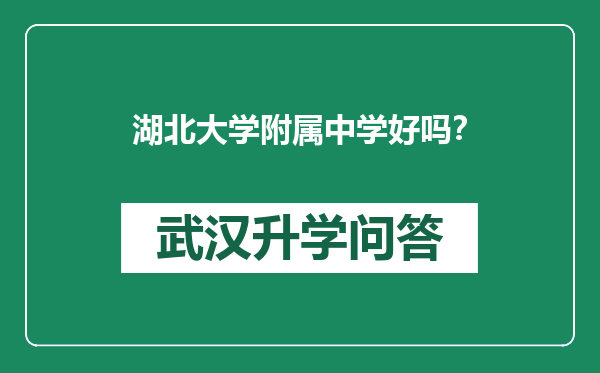 湖北大学附属中学好吗？