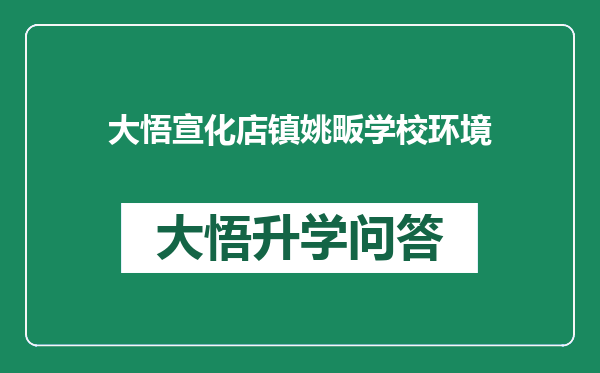 大悟宣化店镇姚畈学校环境