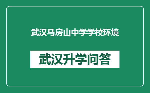 武汉马房山中学学校环境