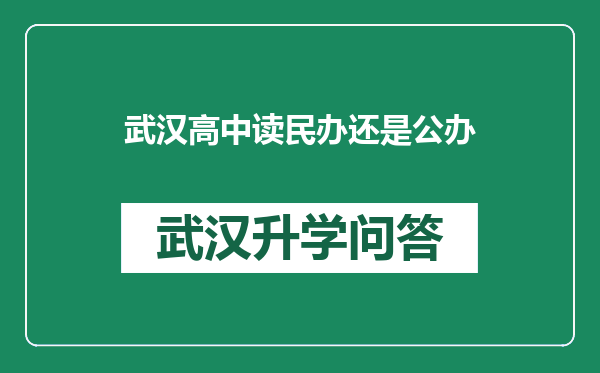 武汉高中读民办还是公办