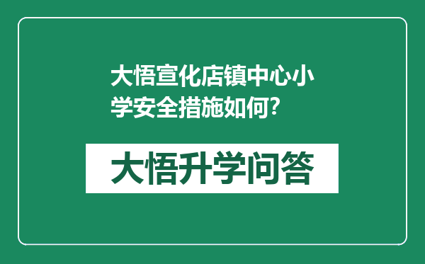 大悟宣化店镇中心小学安全措施如何？