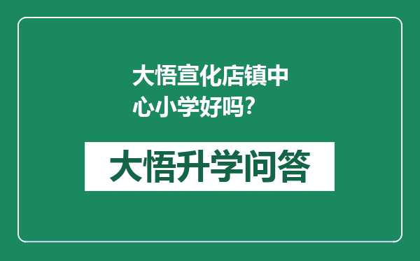 大悟宣化店镇中心小学好吗？