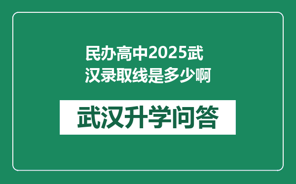 民办高中2025武汉录取线是多少啊