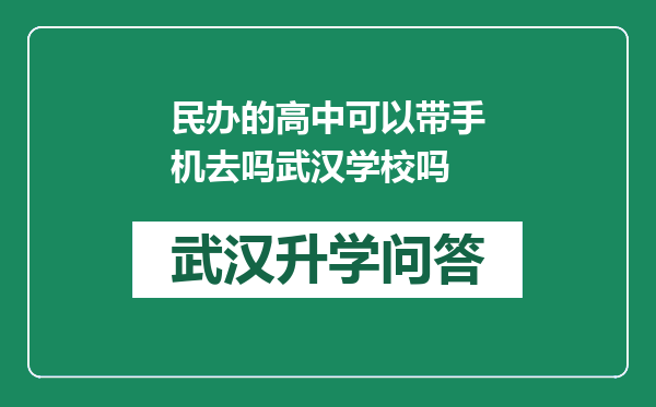 民办的高中可以带手机去吗武汉学校吗