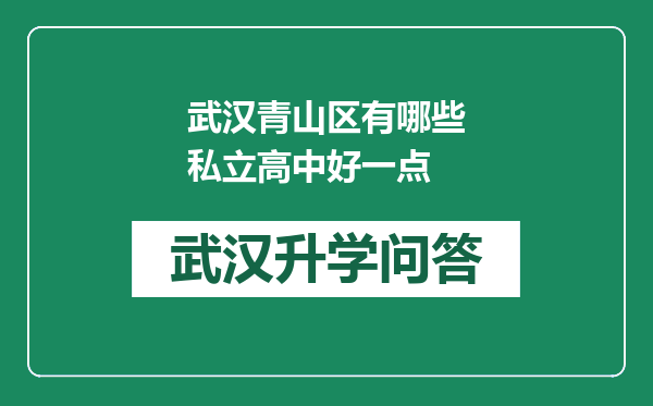 武汉青山区有哪些私立高中好一点