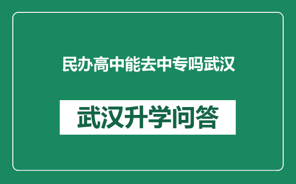 民办高中能去中专吗武汉