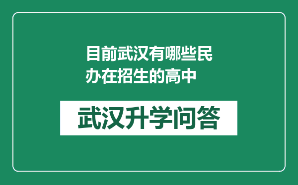 目前武汉有哪些民办在招生的高中