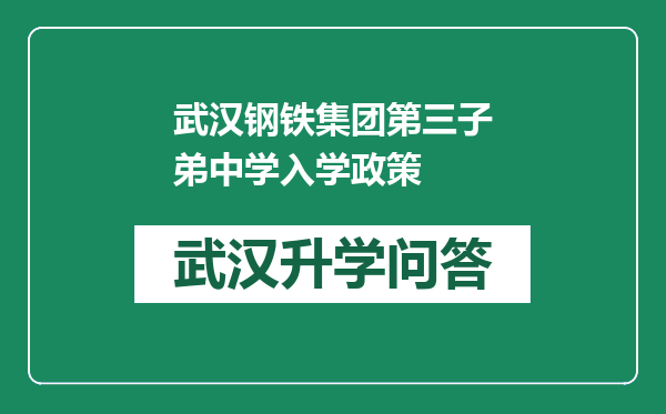 武汉钢铁集团第三子弟中学入学政策