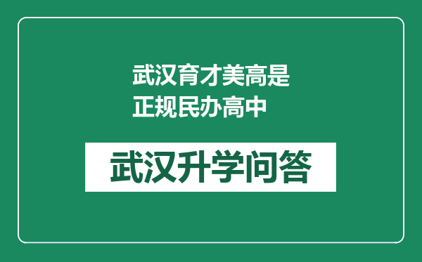 武汉育才美高是正规民办高中