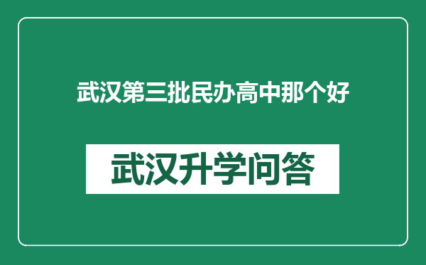 武汉第三批民办高中那个好