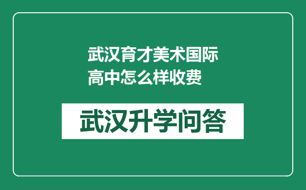 武汉育才美术国际高中怎么样收费